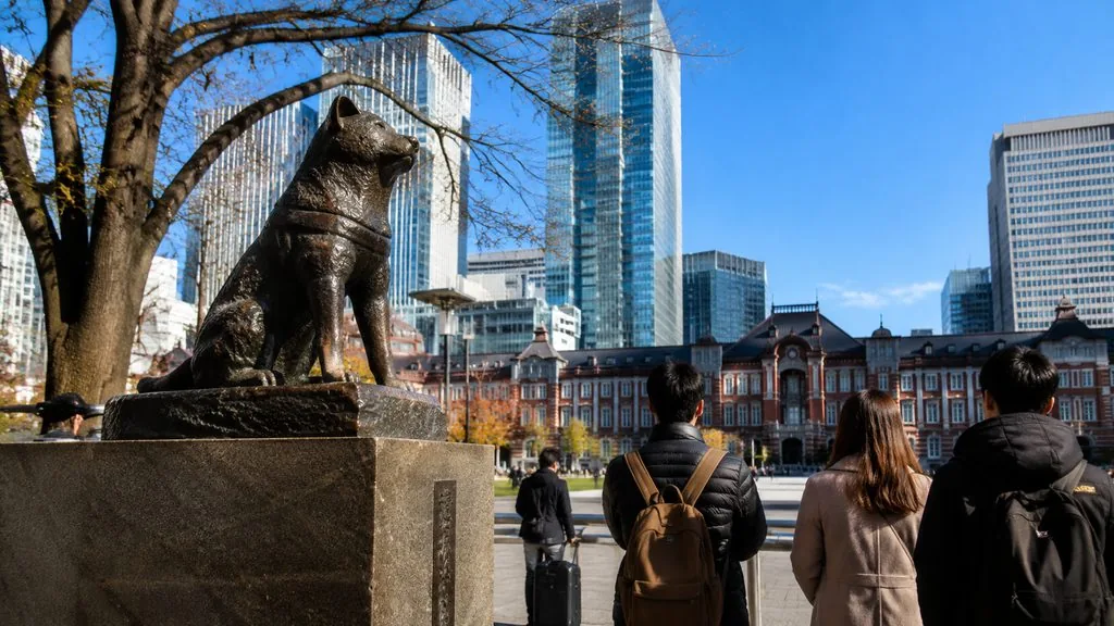 Tokyo: Shibuya Sky, Crossing & Hachiko Guided Tour